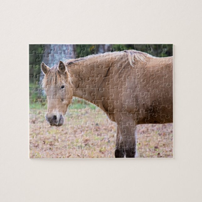Ein Pferd ist natürlich ein Pferd - 8 x 10 Zoll (Horizontal)