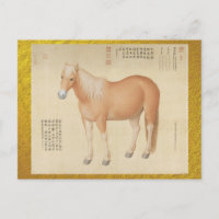 Ein Pferd namens Hongyuzuo Feine Kunst