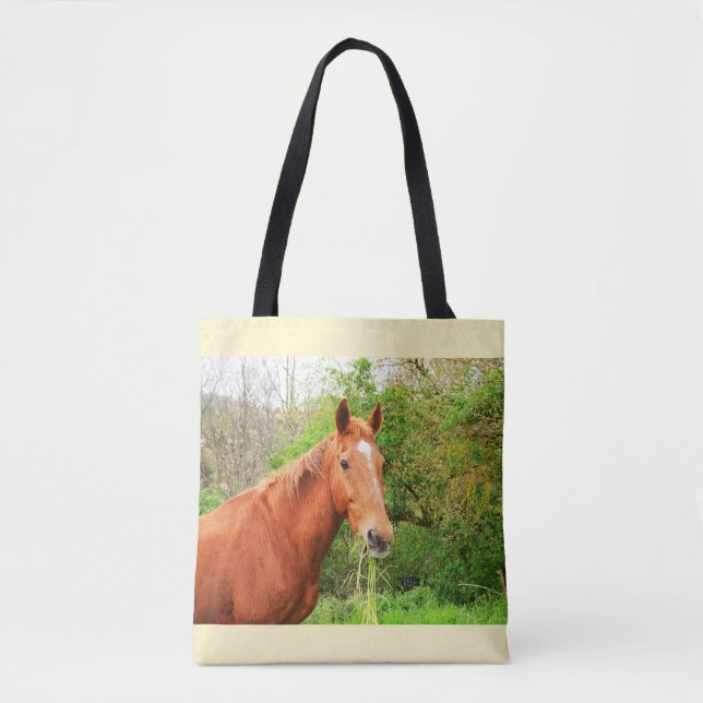 Ein Pferd namens Orion Tasche (Vorderseite)