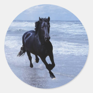 Ein Pferd wild und frei Runder Aufkleber