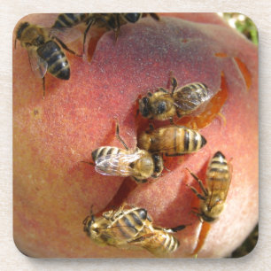 Ein Pfirsich für die Bienen Getränkeuntersetzer
