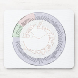 Ein phylogenetischer Baum Mousepad