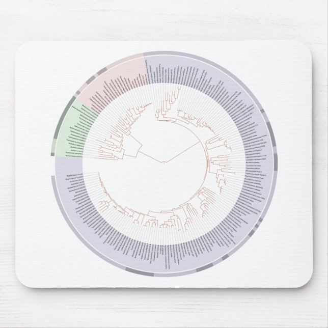 Ein phylogenetischer Baum Mousepad (Vorne)