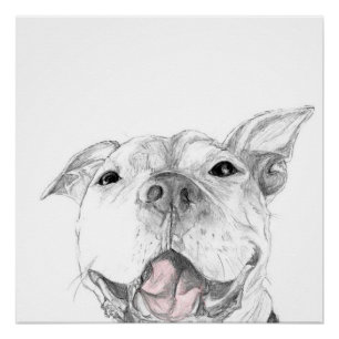 Ein Pit Bull-Lächeln Poster
