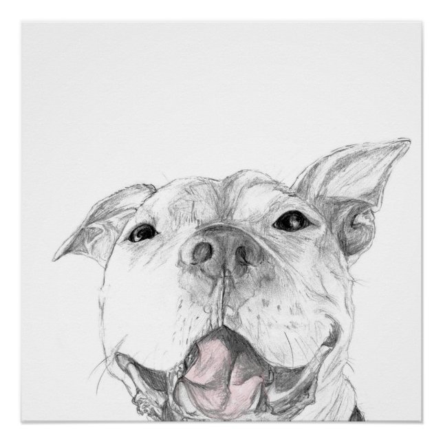 Ein Pit Bull-Lächeln Poster (Vorderseite)
