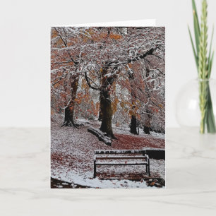 Ein Platz im Wald Karte