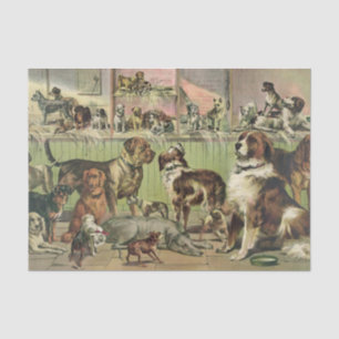 Ein Plethora Hunde-Gewebepapier Seidenpapier