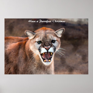 Ein purrfektes Weihnachten Poster