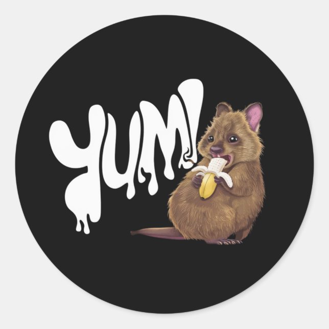 Ein Quokka, der Banane isst Runder Aufkleber (Vorderseite)