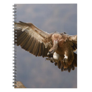 Ein Raubvogel Notizblock
