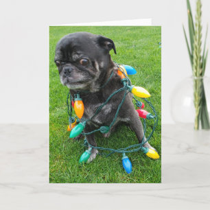 Ein rauschfreies Weihnachten