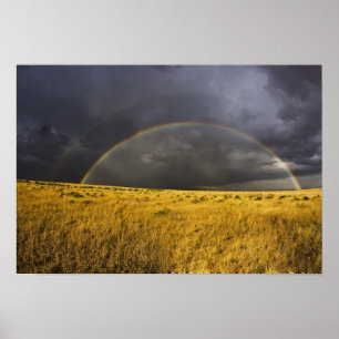 Ein Regenbogen erscheint durch einen nebligen Nach Poster