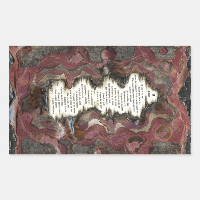 Ein Riss Rechteckiger Aufkleber (Vorderseite)