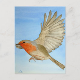 Ein Robin Postkarte