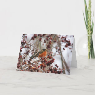 Ein robuster Gruß in der Wintersaison Feiertagskarte