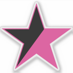 Ein rosa Stern des Feminismus v2 Aufkleber