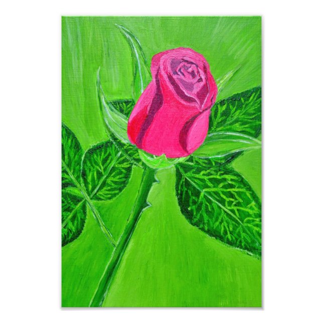 Ein Rose Fotodruck (Vorne)