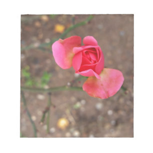 Ein Rosebud im November Notizblock