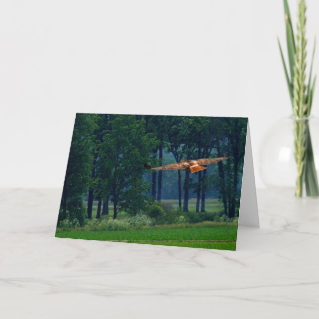 Ein Rot angebundener Falke im Flug Karte (Vorderseite)
