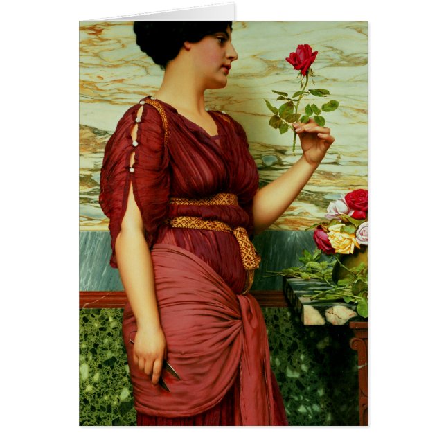 Ein Rot, Rote Rose (Vorne)
