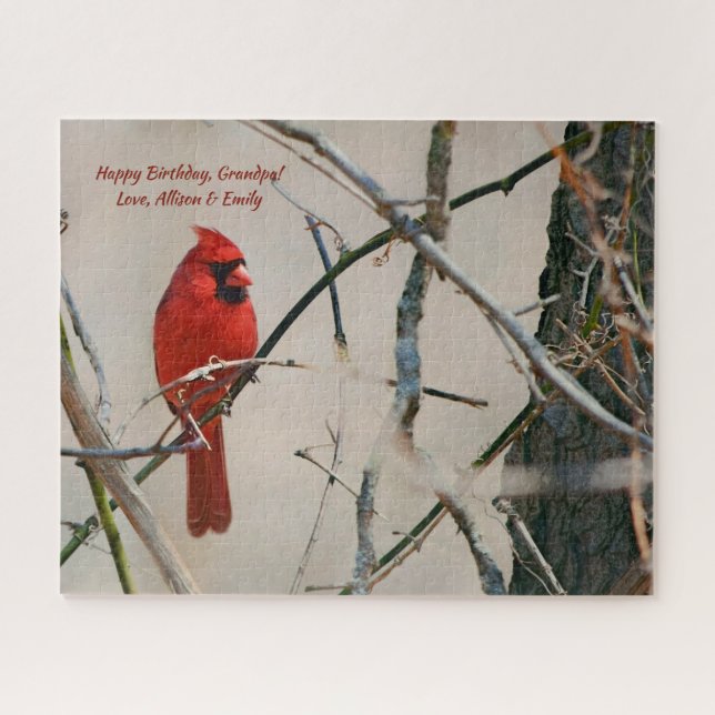 Ein roter Kardinals-Vogel auf einer Niederlassung (Horizontal)