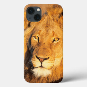 Ein roter Maned Löwe, der die Kamera betrachtet Case-Mate iPhone Hülle