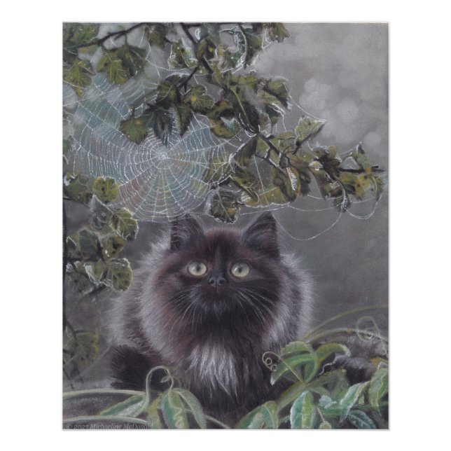 Ein ruhiger Ort - Kitten und Spiderweb Poster (Vorderseite)