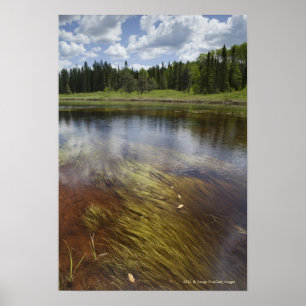 Ein ruhiger Teich, der die Wolken reflektiert Poster