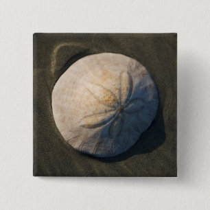 Ein Sand-Dollar auf dem Strand Button