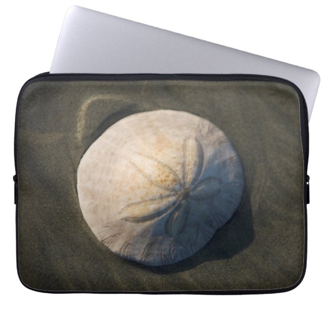 Ein Sand-Dollar auf dem Strand Laptopschutzhülle (Vorderseite)