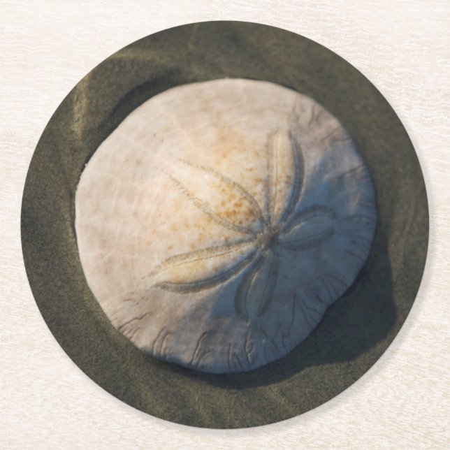 Ein Sand-Dollar auf dem Strand Runder Pappuntersetzer (Vorderseite)
