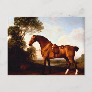 Ein sattelter Bucht-Jäger von George Stubbs Postkarte