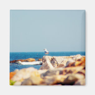 Ein Schädelposten Magnet