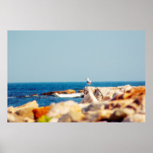 Ein Schädelposten Poster