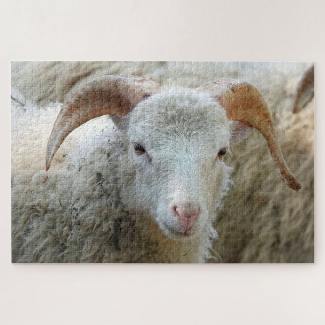 Ein Schaf mit Hörnern Puzzle (Horizontal)