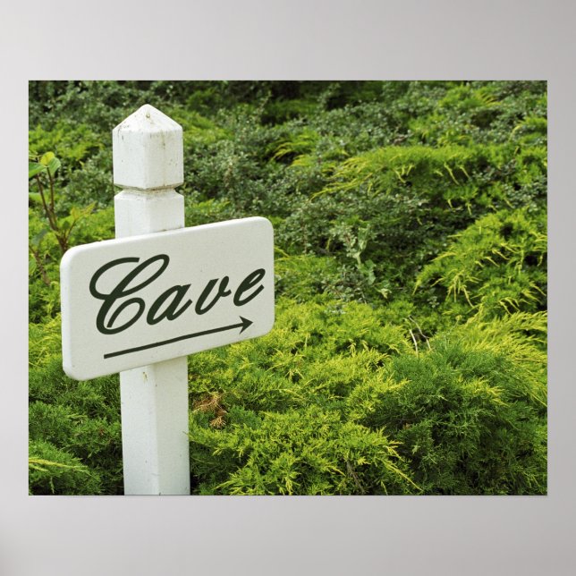 Ein Schild, das auf den Weinkeller (Höhle) hinweis Poster (Vorne)