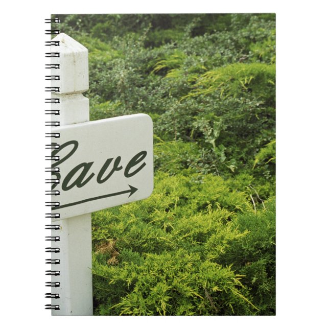 Ein Schild, das auf den Weinkeller (Höhle) in Notizblock (Vorderseite)