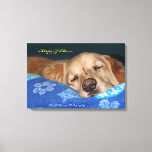 Ein schläfriges golden retriever leinwanddruck