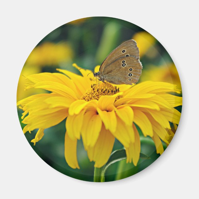 Ein Schmetterling auf einem gelben Blume-Magneten Magnet (Vorne)