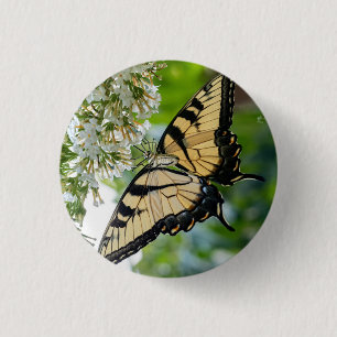 Ein Schmetterling mit gelben und schwarzen Flügeln Button