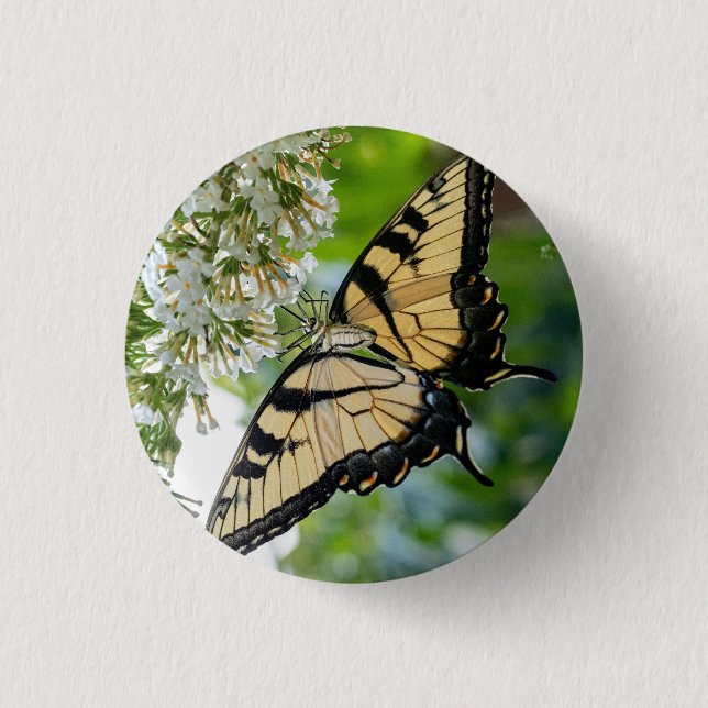Ein Schmetterling mit gelben und schwarzen Flügeln Button (Vorderseite)