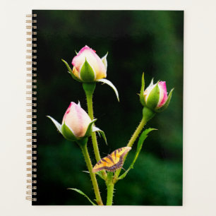 Ein Schmetterling und Rose Planer