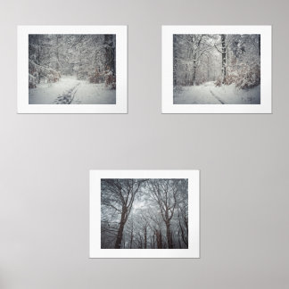 Ein schneebedeckter Weg durch einen Winterwald Bilderwand Sets