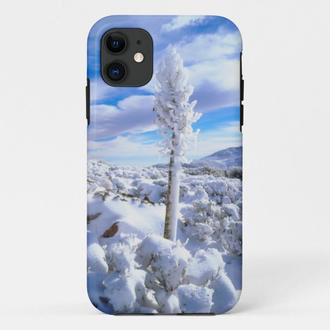 Ein schneebedeckter Yucca Case-Mate iPhone Hülle (Rückseite)