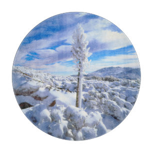 Ein schneebedeckter Yucca Schneidebrett