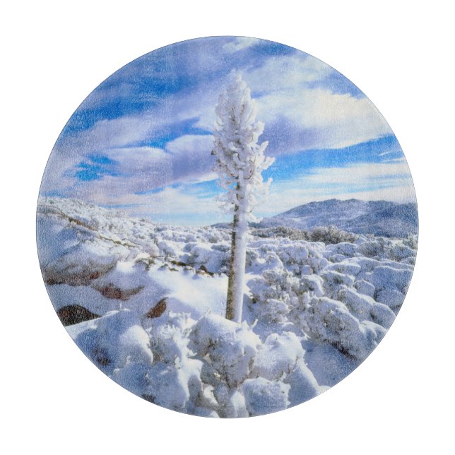 Ein schneebedeckter Yucca Schneidebrett (Vorderseite)
