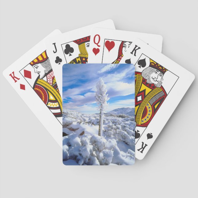 Ein schneebedeckter Yucca Spielkarten (Rückseite)