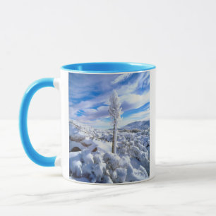 Ein schneebedeckter Yucca Tasse