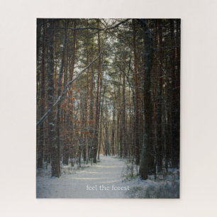 Ein Schneeweg im Kiefernwald