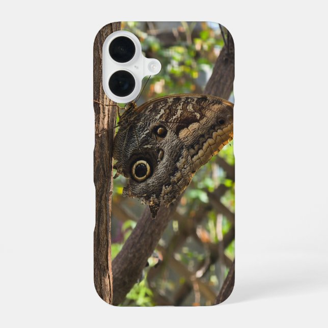 ein schöner brauner Schmetterling iPhone 16 Hülle (Rückseite)